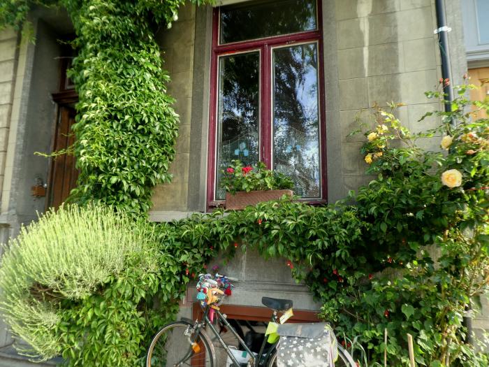 côté sud- facade avant -