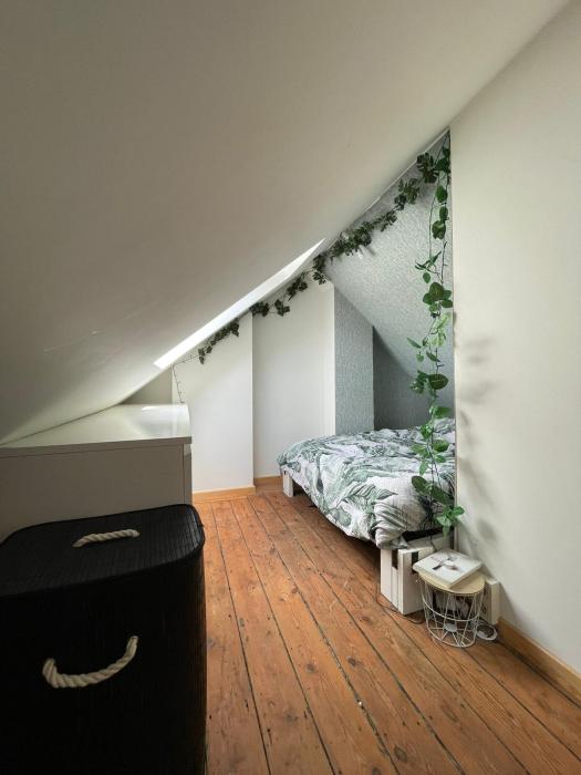 mezzanine + lit