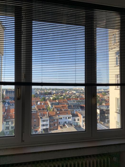 Fenêtre de la chambre