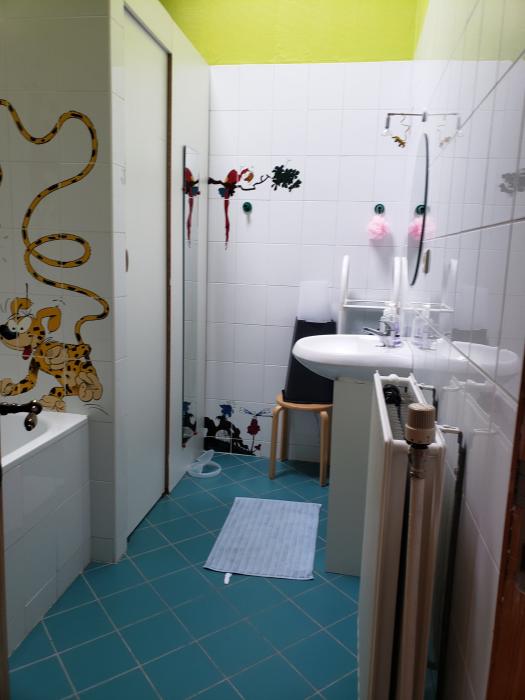Sdb,lavabo