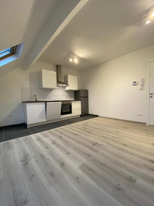 Appartement 60 m² in Brussel centrum