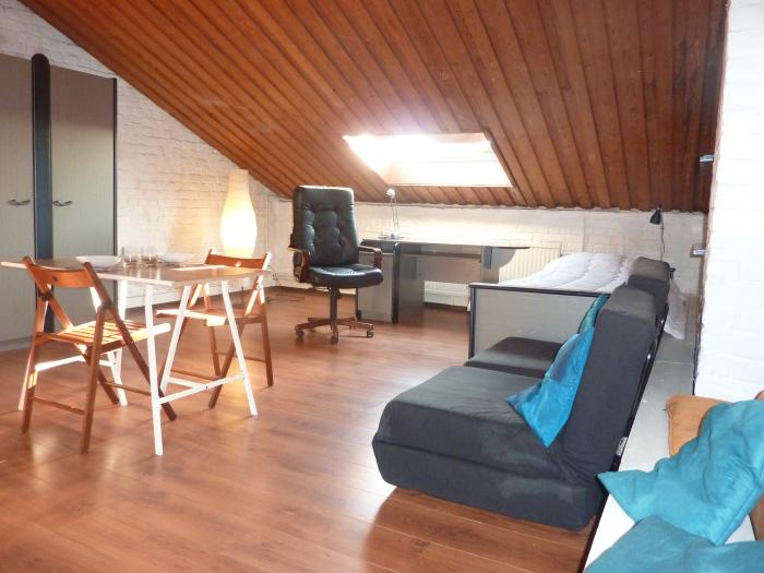 Room in owner's house