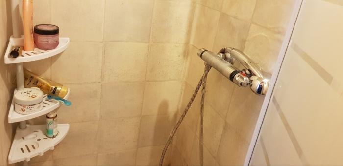 Un sentiment de bien-être se développe avant de sortir de la salle de douche 🐳 Een gevoel van welbehagen ontwikkelt zich alvorens de doucheruimte verlaten wordt 🐬 A sense of well-being develops before leaving the shower room.