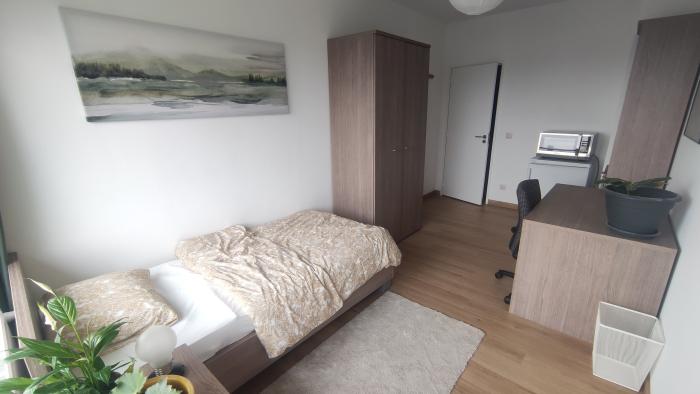 Room in owner's house