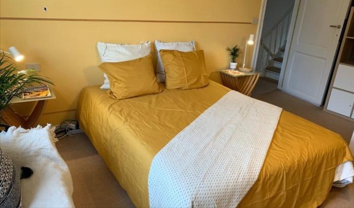 Shared housing 220 m² in Brussels Surroundings