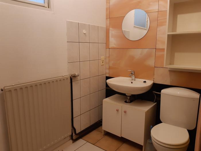 salle de bain avec douche
