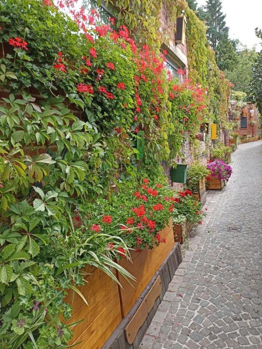 Colocation 300 m² à Bruxelles Uccle