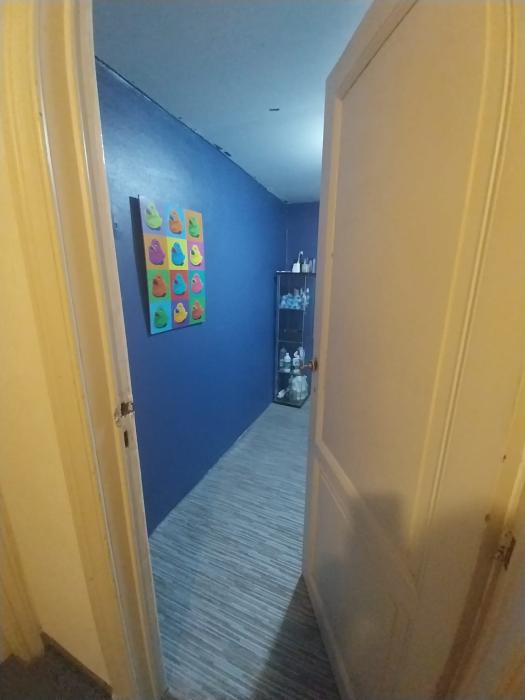 salle de bain et wc 2