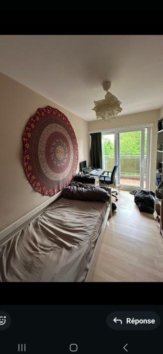 Kot chez l'habitant