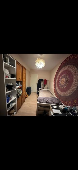 Kot chez l'habitant