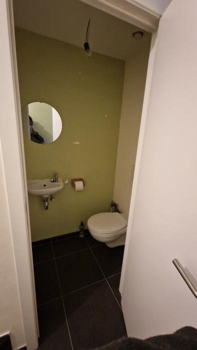 Toilet downstairs