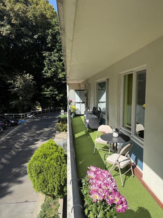 Terras