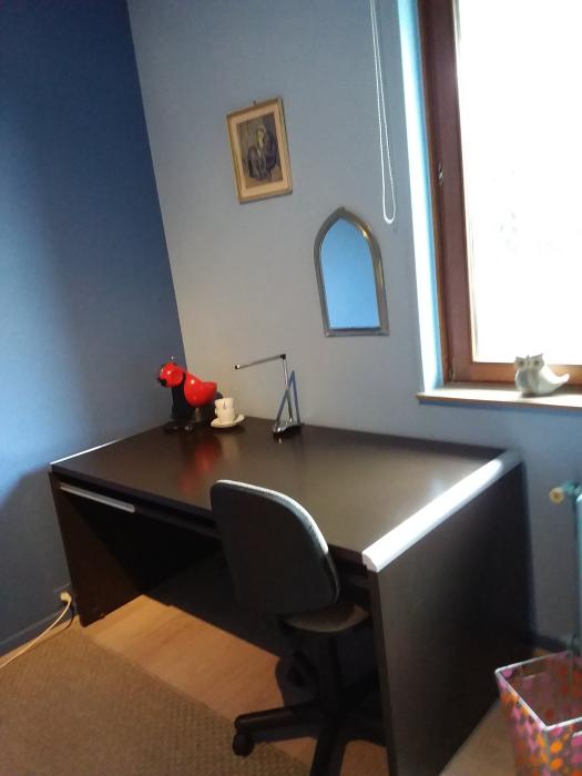 Room in owner's house