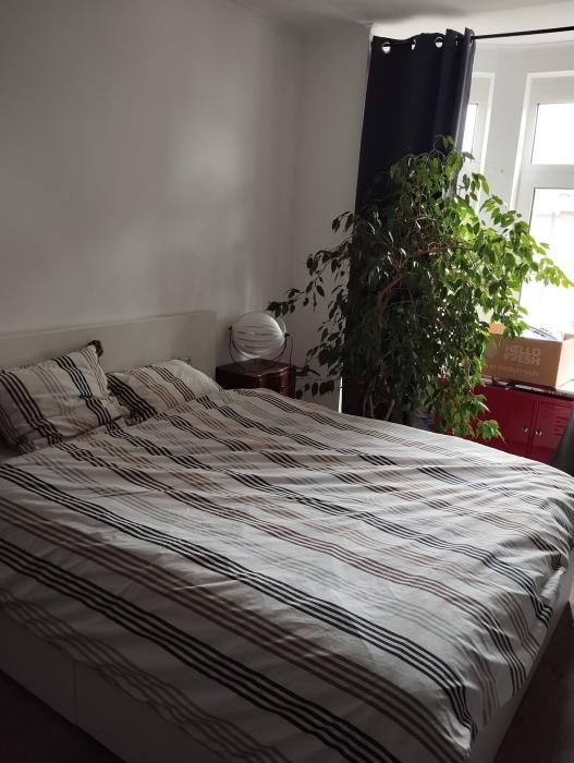 Kot chez l'habitant