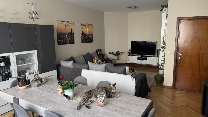 Appartement 90 m² à Bruxelles Ixelles : Cimetière