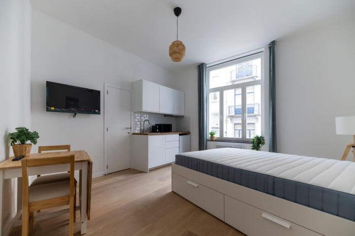 Studio 30 m² in Brussels Ixelles : Namur / Flagey