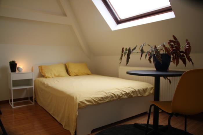 Colocation 14 m² à Bruxelles Schaerbeek
