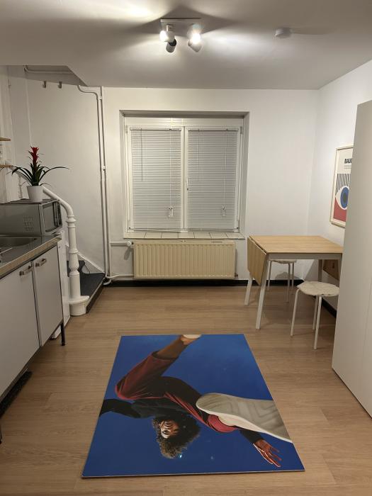 Studio 25 m² in Brussels Ixelles : Namur / Flagey