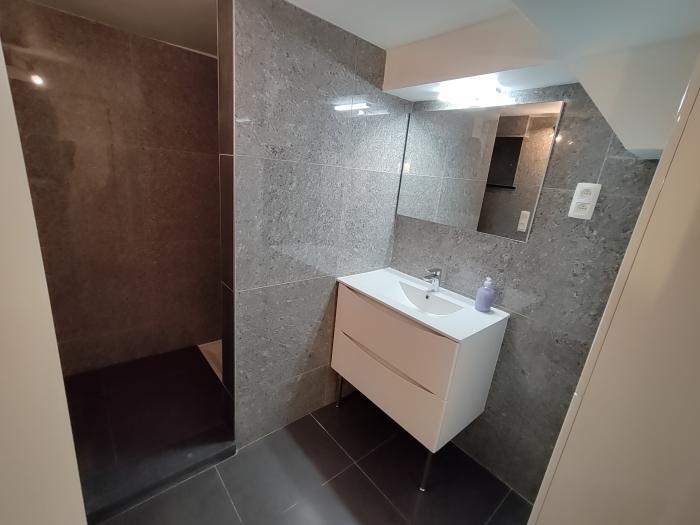 salle de douche + lavabo