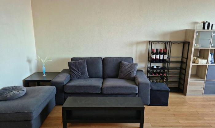 Living entrance view