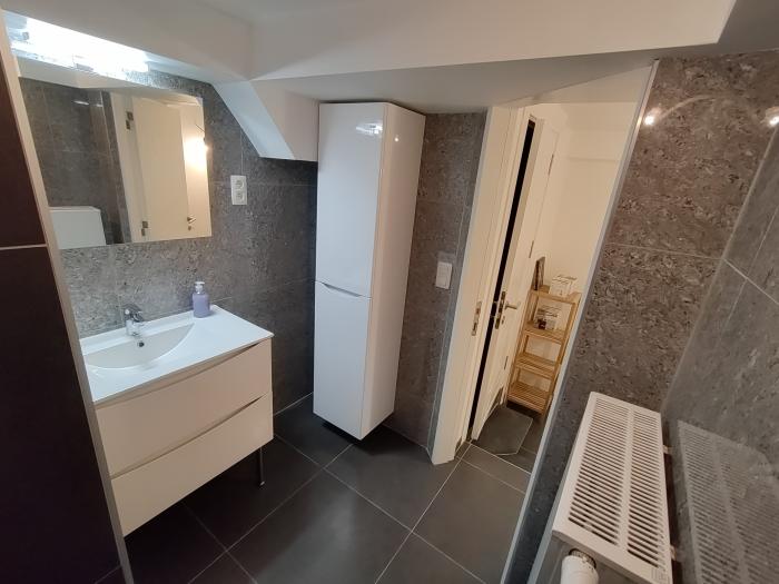 salle de douche + lavabo