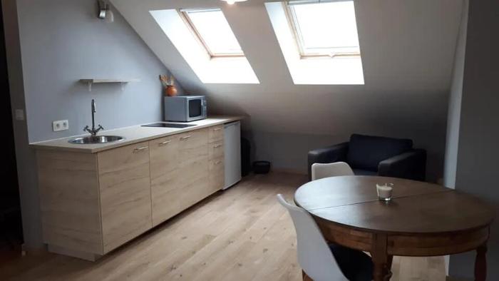 Studio 40 m² in Brussels Schaerbeek