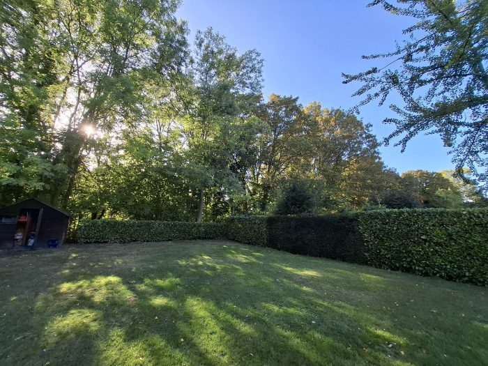 Jardin