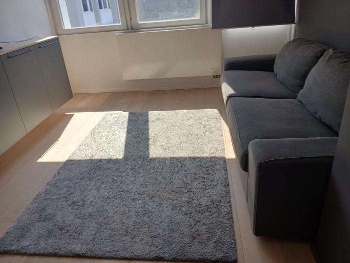 encore à meubler. Lit à l'emplacement du divan sur cette photo