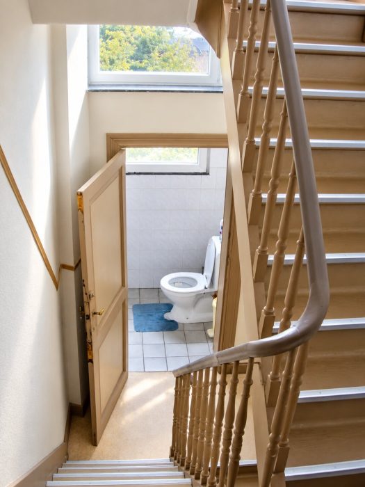 💎 FR 🔃 Un petit escalier pour une grande intimité : un WC discret et éco, bien accompagné de son extracteur et de rangements malins ↕️ NL 💎 Een klein trapje voor een grote intimiteit: een discrete en zuinige wc, met een stille ventilator en slimme opbergruimte als trouwe metgezellen 💎 EN ⤵️ A small staircase for great privacy: a discreet and eco-friendly toilet, quietly flanked by its extractor fan and clever storage.