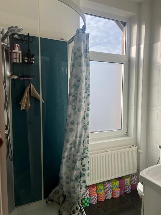 The private bathroom