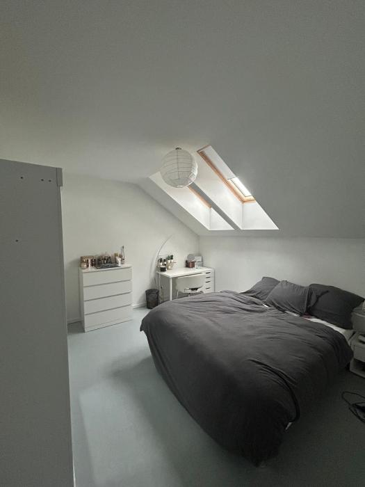 Co-locatie 200 m² in Brussel Molenbeek