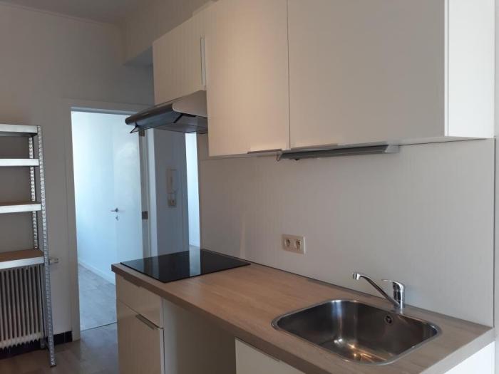 Colocation 61 m² à Bruxelles Ixelles : Cimetière