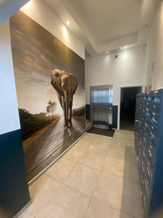 Studio 18 m² à Bruxelles Centre
