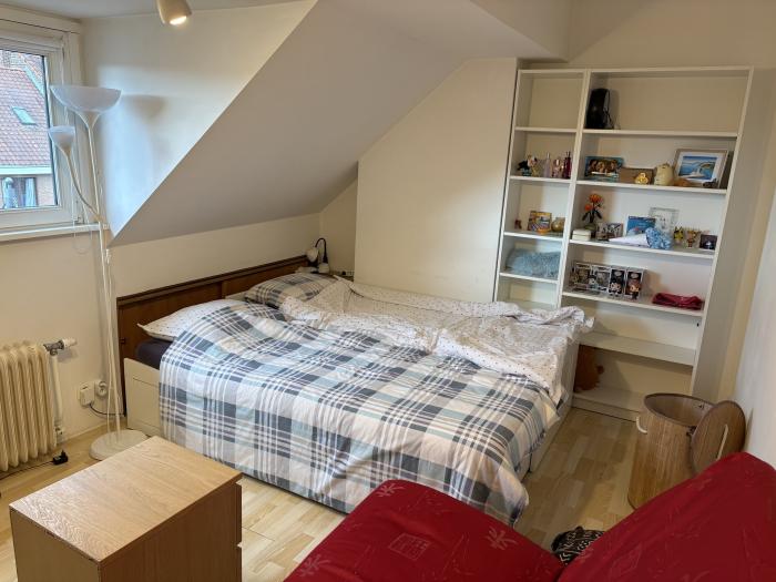 Kot chez l'habitant 20 m² à Bruxelles Kraainem / Wezembeek