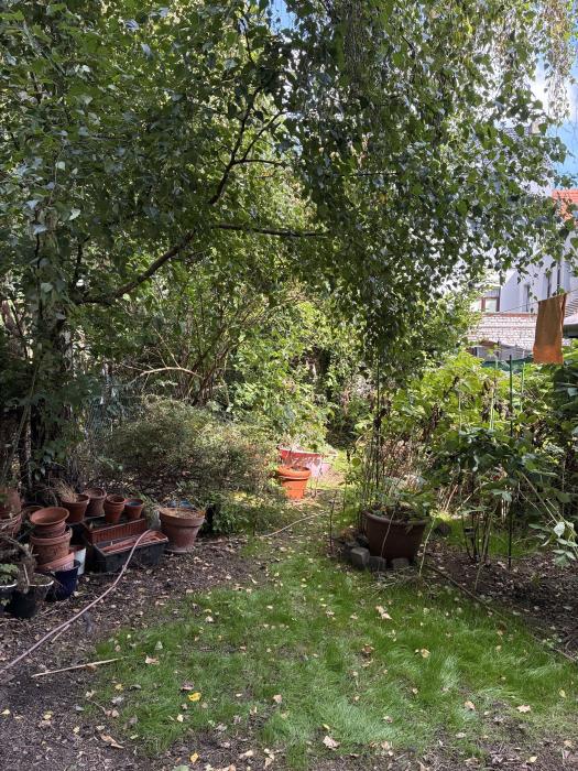 Jardin