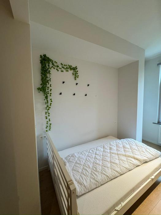 Student room 140 m² in Brussels Jette