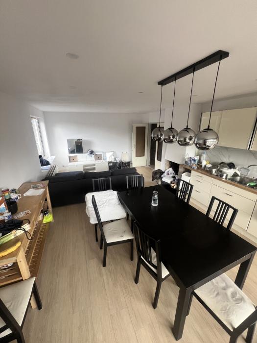 Salon/ salle à manger /cuisine