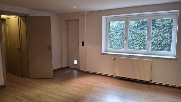 Vue de l'intérieur - View from inside