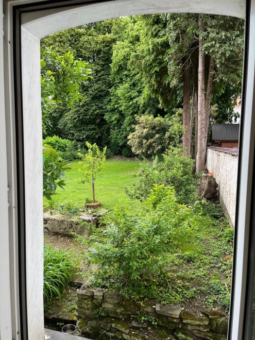 Vue jardin