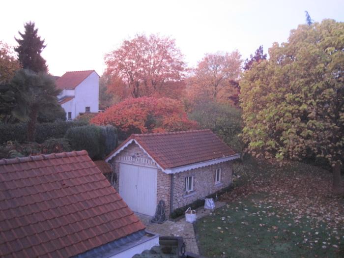 Kot chez l'habitant