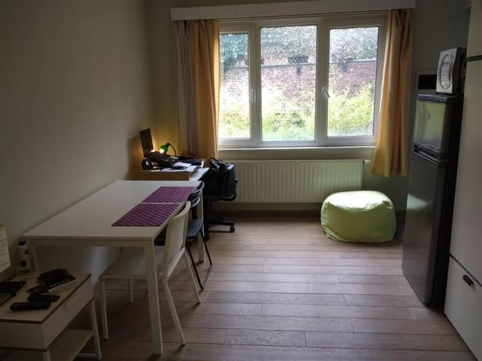 Studio 33 m² à Bruxelles Ixelles : Bascule