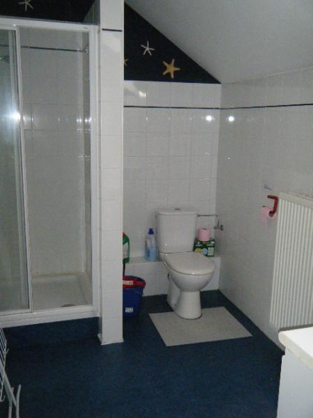 salle de douche ,évier,wc