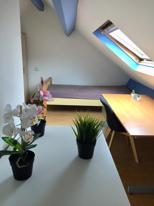 Kot 22 m² in Brussel Sint-Gillis