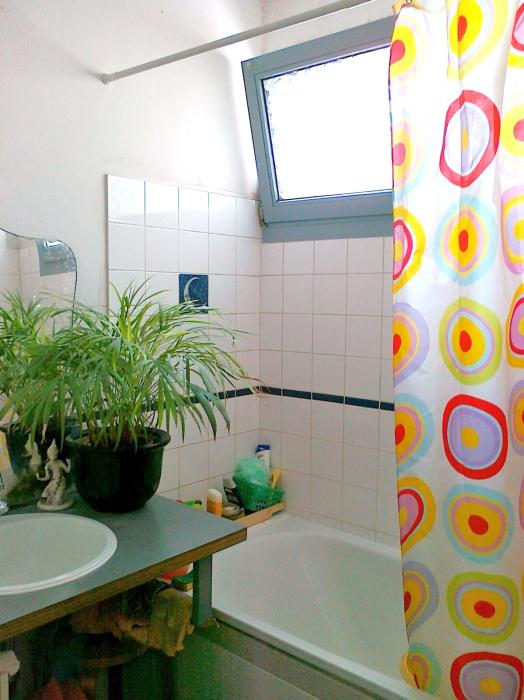 Room in owner's house