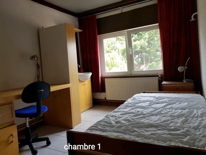 Kot chez l'habitant