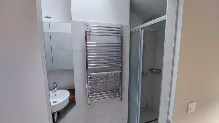 espace sanitaires, avec douche, lavabo et toilette ;
sanitary area with shower, sink and toilet