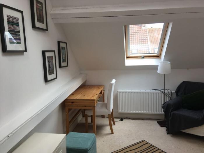 Room in owner's house