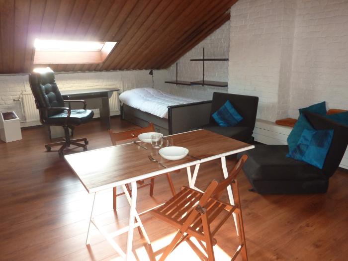 Room in owner's house 25 m² in Brussels Ixelles : Bascule