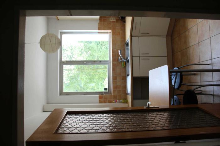 Room in owner's house