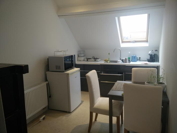 Room in owner's house